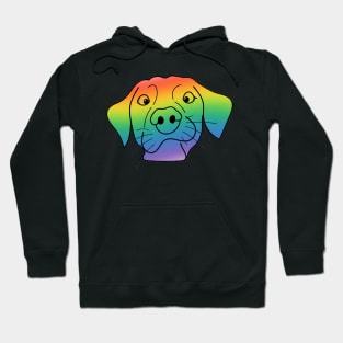 Rainbow Dog Hoodie